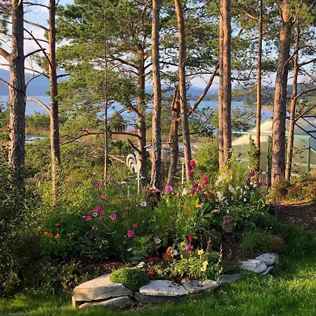 Modern Summer Idyll In Fusa